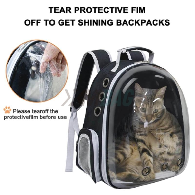 Airline Approved Cat Carriers